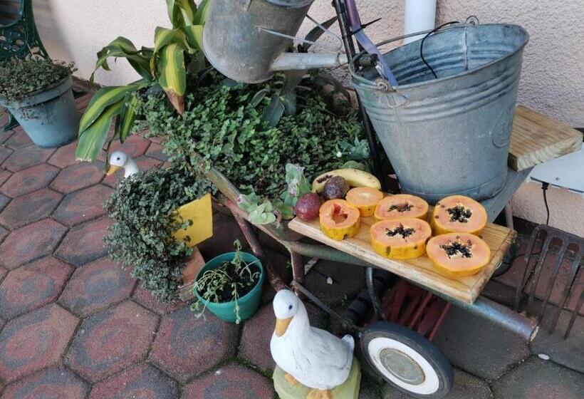 펜션 Jothams Bed & Breakfast Or Self Catering