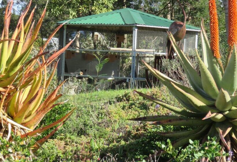 פנסיון Langeberg Guest Lodge