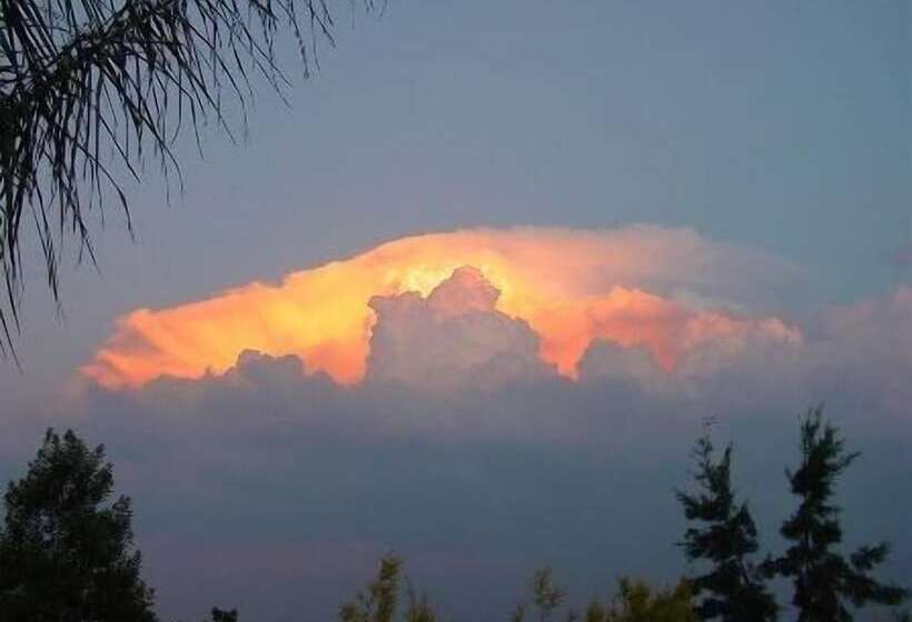 膳宿费 Palm Tree Manor