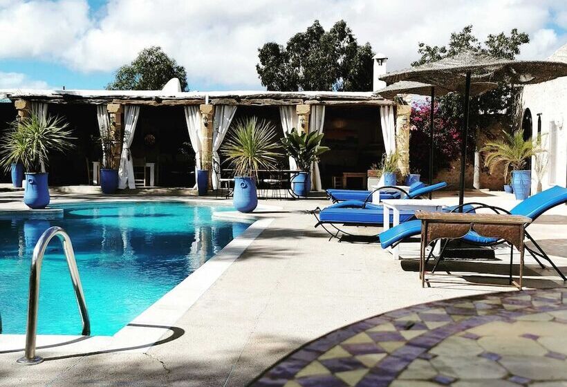 پانسیون Riad Eucalyptus