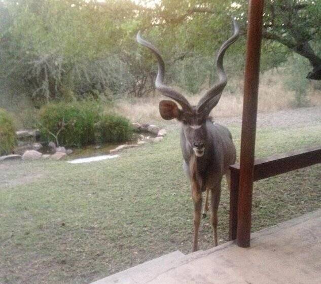 膳宿费 Turaco Lodge   No Loadshedding