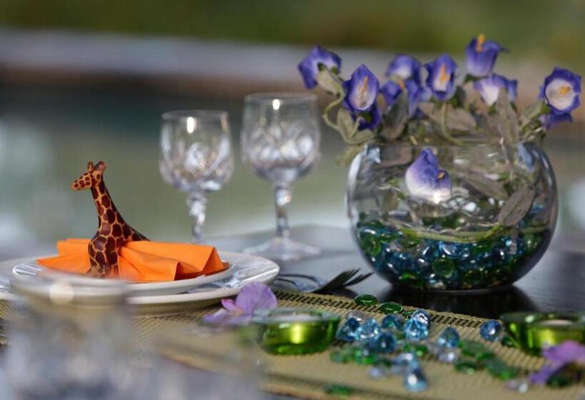 膳宿费 Turaco Lodge   No Loadshedding