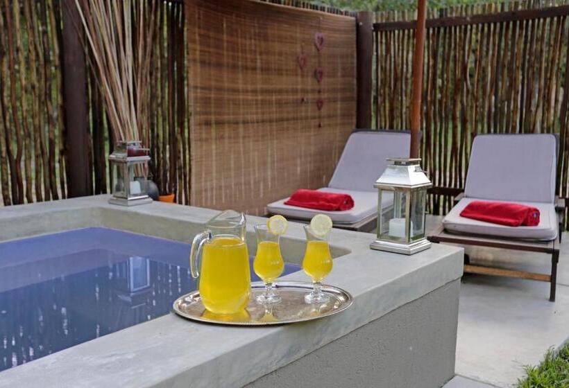 膳宿费 Turaco Lodge   No Loadshedding