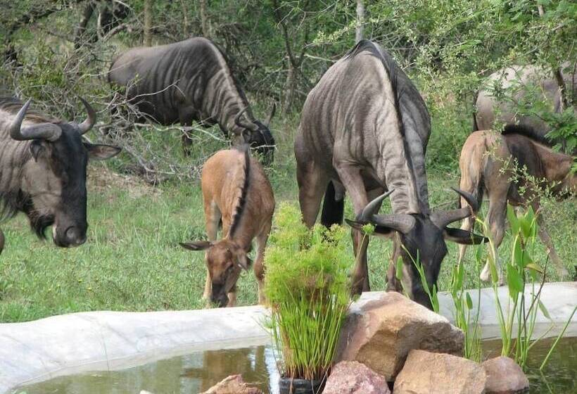 膳宿费 Turaco Lodge   No Loadshedding