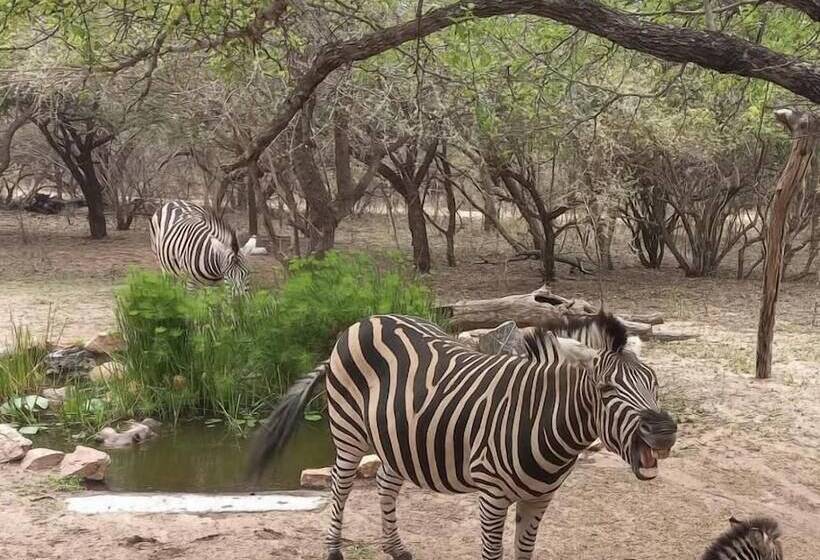 膳宿费 Turaco Lodge   No Loadshedding