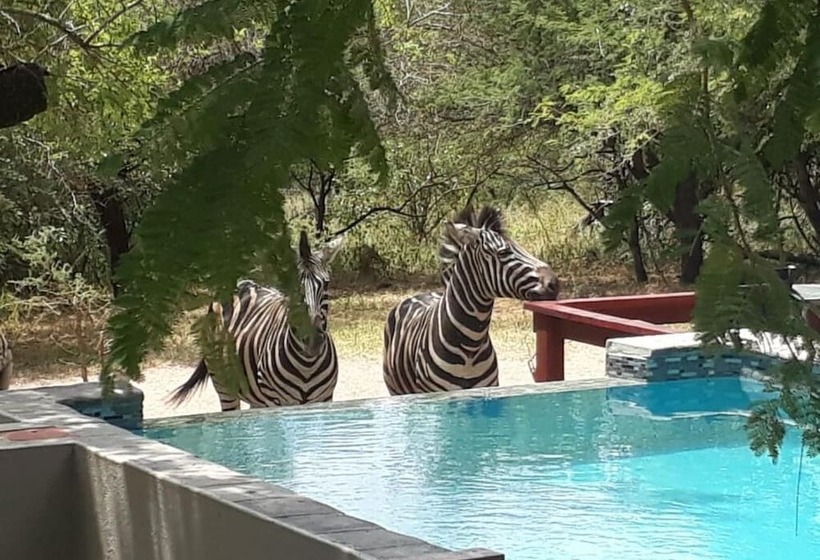 膳宿费 Turaco Lodge   No Loadshedding