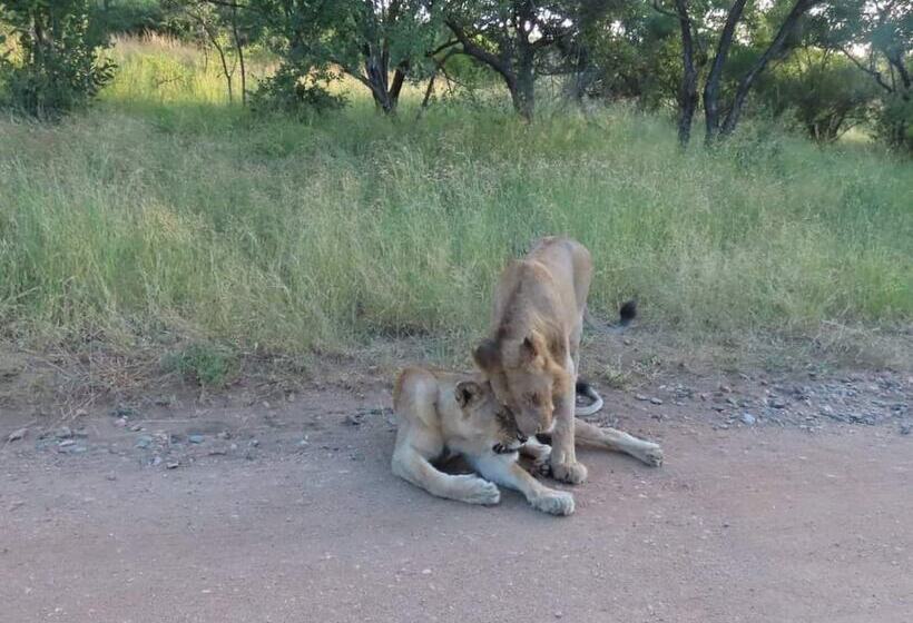 膳宿费 Turaco Lodge   No Loadshedding