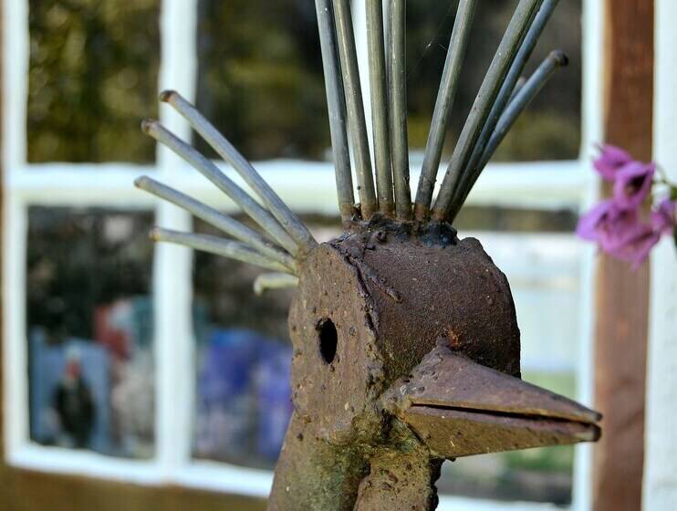 بنسيون Wittedrift Manor House