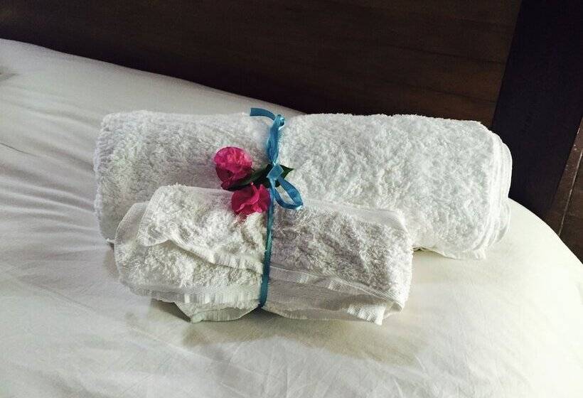 بنسيون Wittedrift Manor House