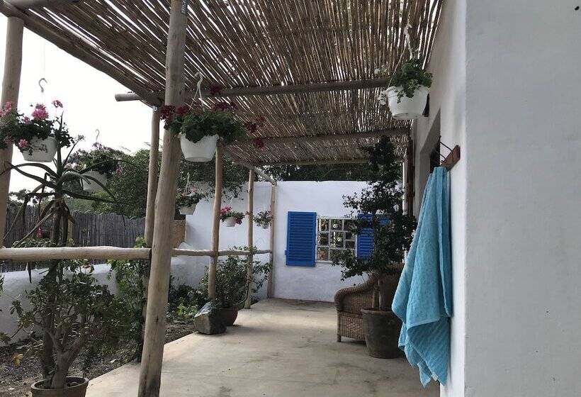 بنسيون Wittedrift Manor House