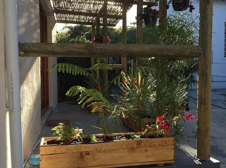 بنسيون Wittedrift Manor House