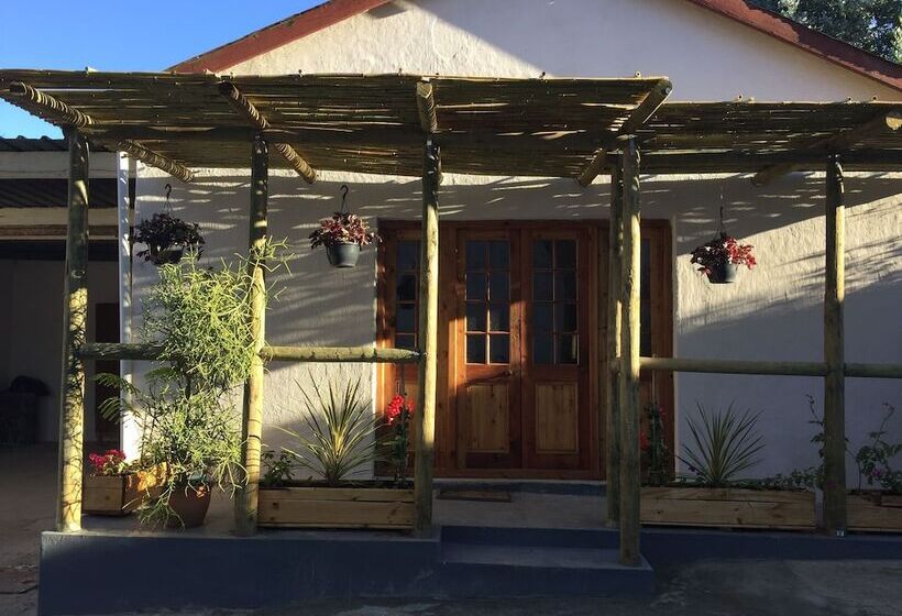 بنسيون Wittedrift Manor House