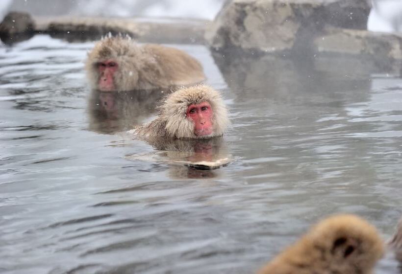 료칸 Yudanaka Seifuso