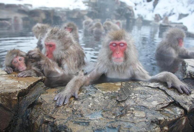 료칸 Yudanaka Seifuso