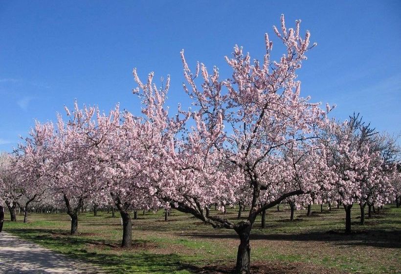 Hórreo Villa Con Piscina Privada En Campos