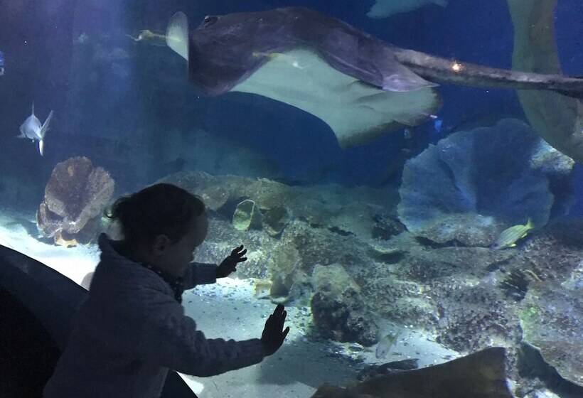 Staycentral   Spacious Seaviews Port Melbourne