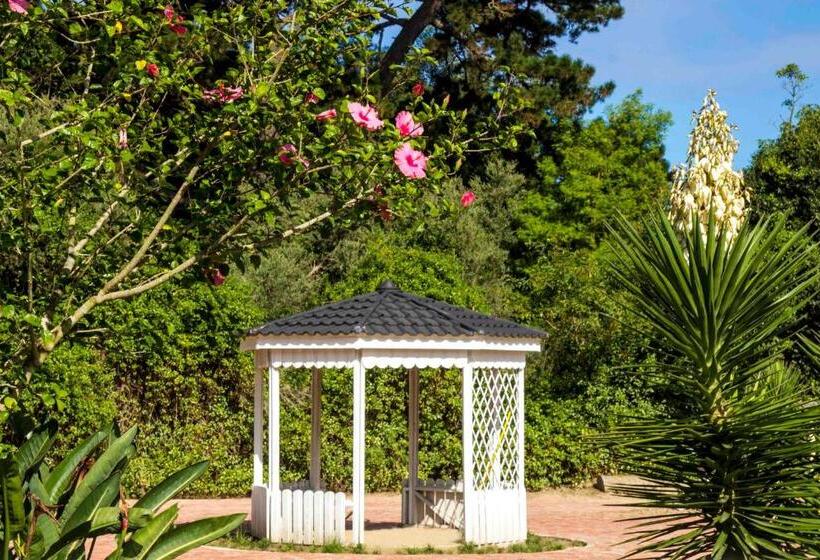 Victoria Heights B&b