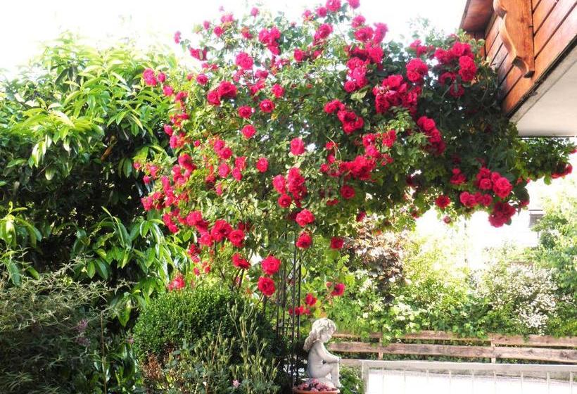 B&b Haus Seethaler   Kein