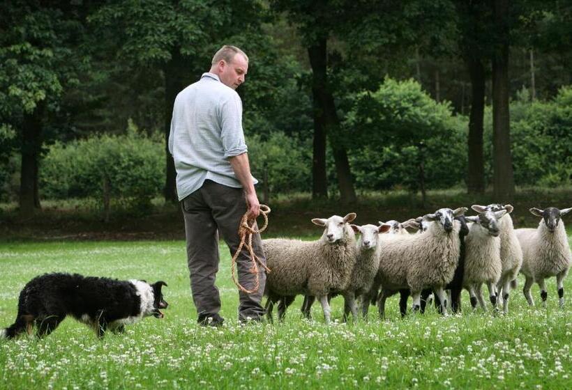 مبيت وإفطار 15 Inn