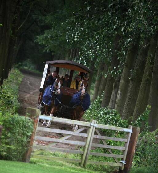 مبيت وإفطار 15 Inn