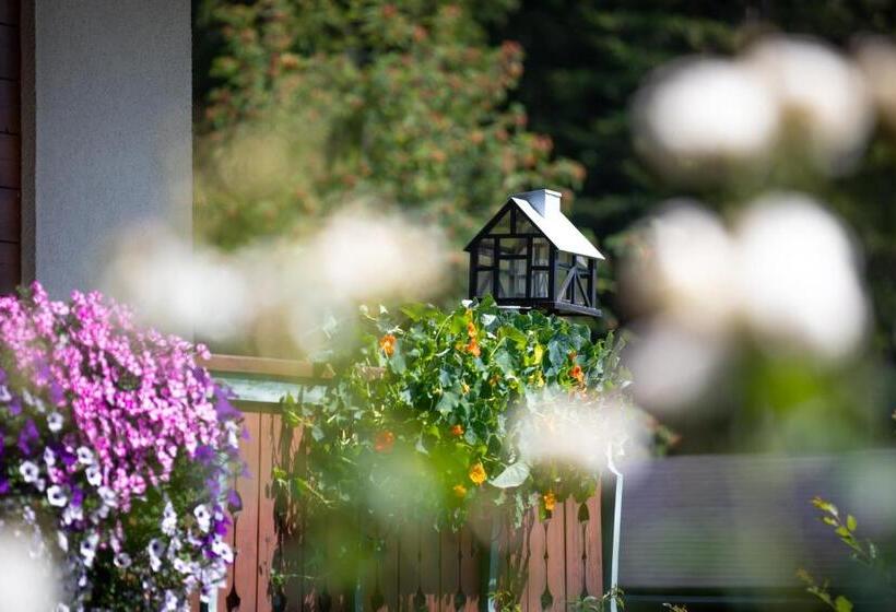 住宿加早餐  Alpenhof