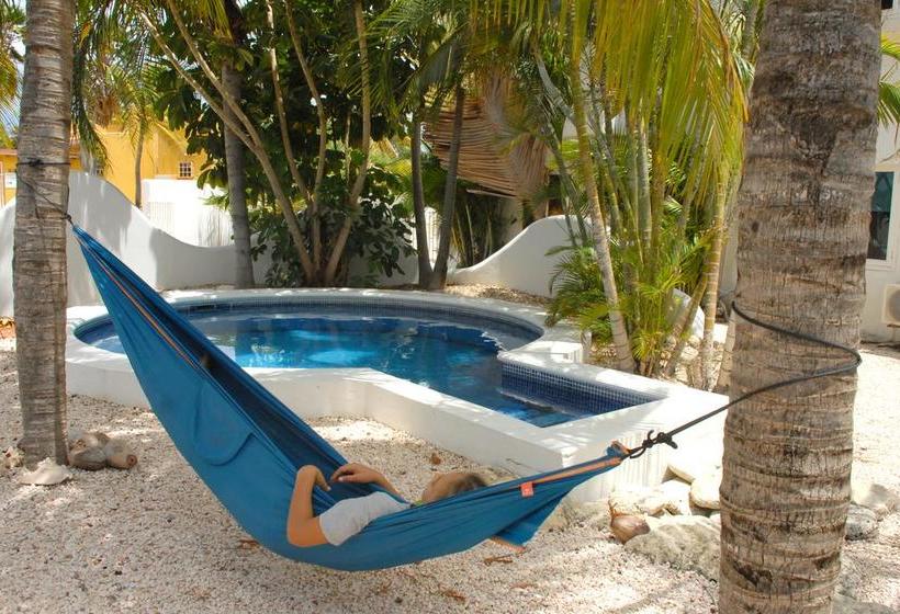 تختخواب و صبحانه Bnbbonaire Near The Ocean