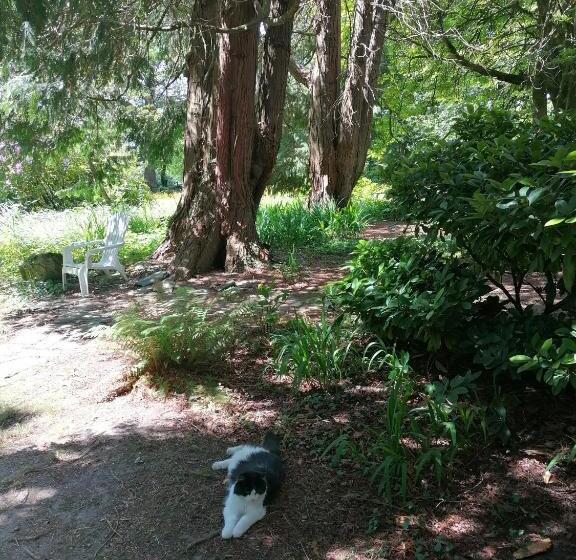 مبيت وإفطار Cullintra House