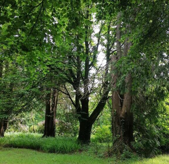 مبيت وإفطار Cullintra House