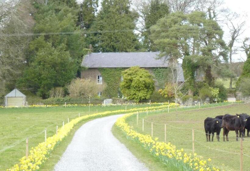 مبيت وإفطار Cullintra House