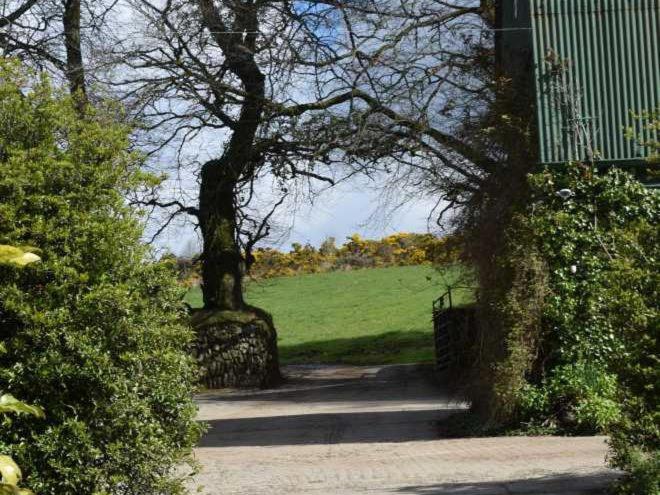 مبيت وإفطار Cullintra House