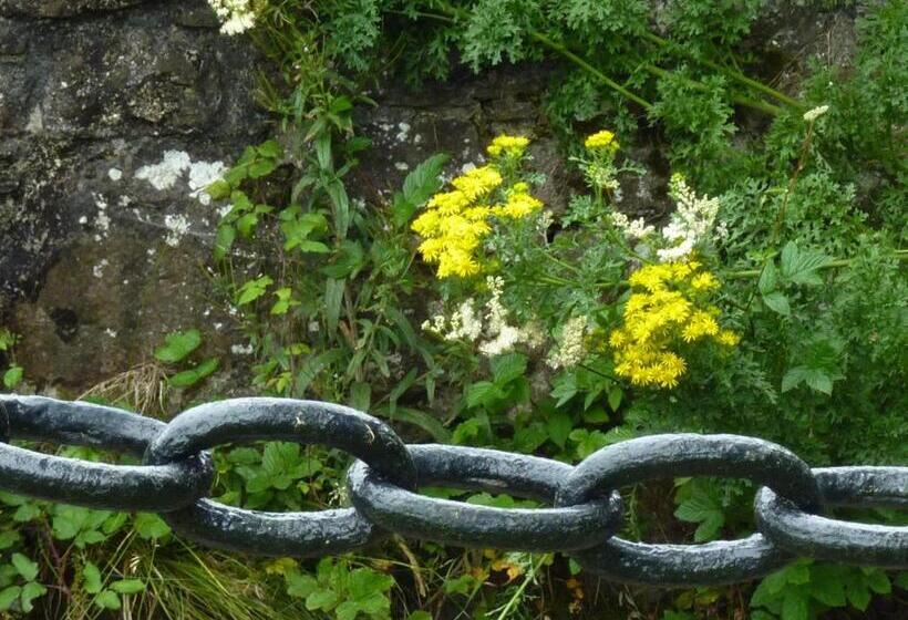 مبيت وإفطار Cullintra House