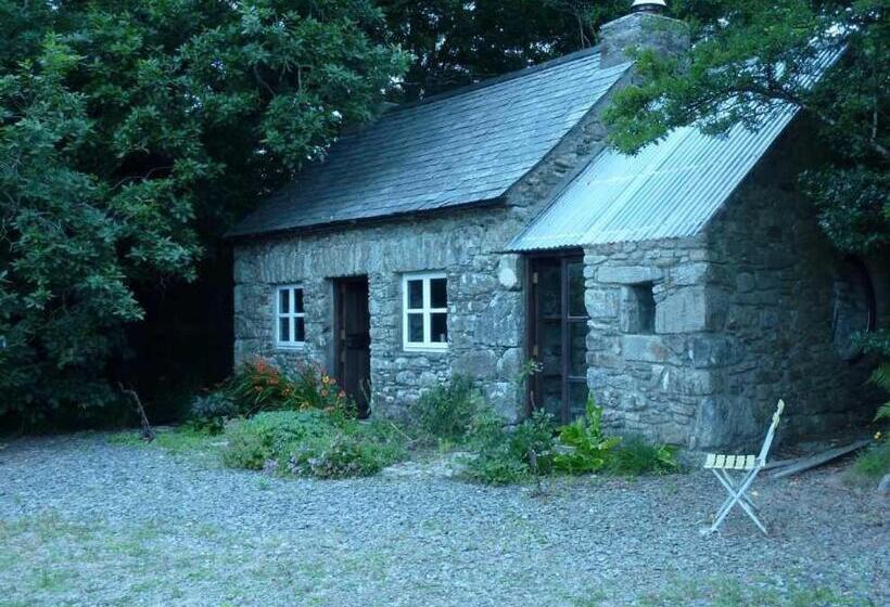 مبيت وإفطار Cullintra House