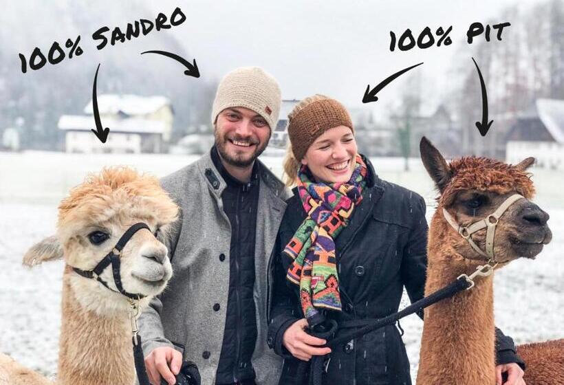 민박 Das Franzl   Bett & Brot