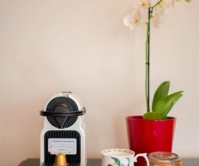 ベッドアンドブレックファースト Hazelwood Lodge