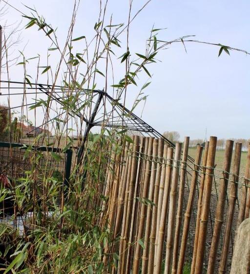 Bed and Breakfast Art Hill