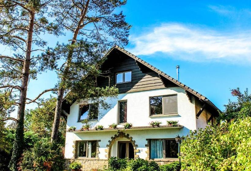 住宿加早餐  Villa Kakelbont Borgloon