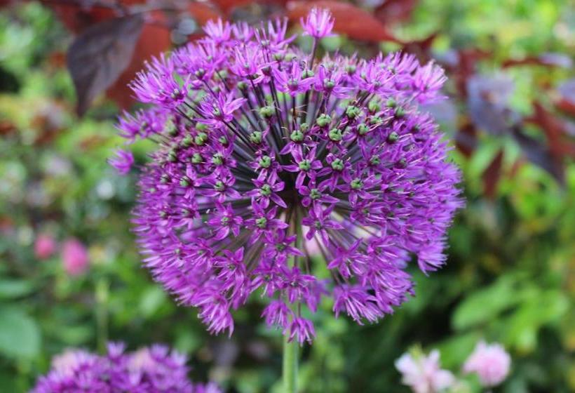 住宿加早餐  Villa Kakelbont Borgloon