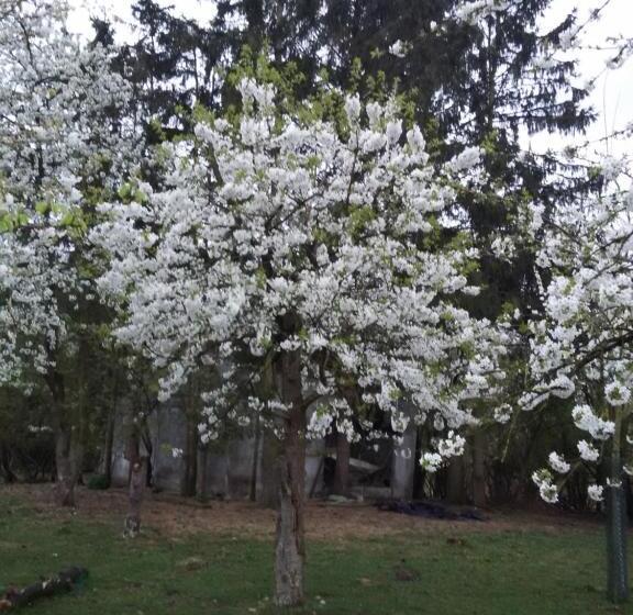 住宿加早餐  Villa Kakelbont Borgloon