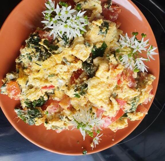 住宿加早餐  Villa Kakelbont Borgloon