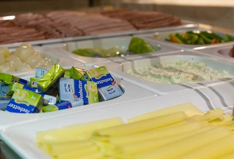 Dorfmeister Business Hotel B&b