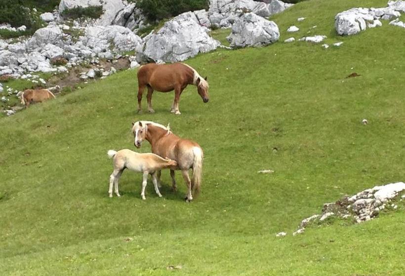 فندق Am Sonnenhügel