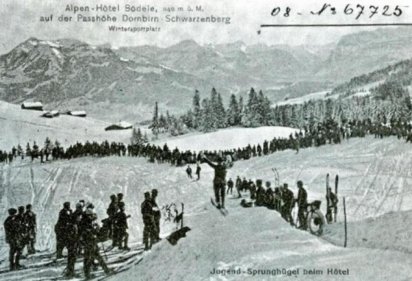 فندق Bödele Alpen