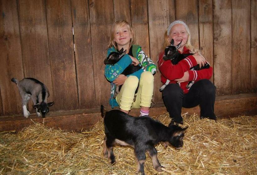 ホテル Breilerhof