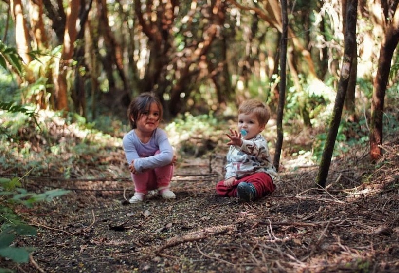 Отель Cabanas Ensenada Bosque Nativo