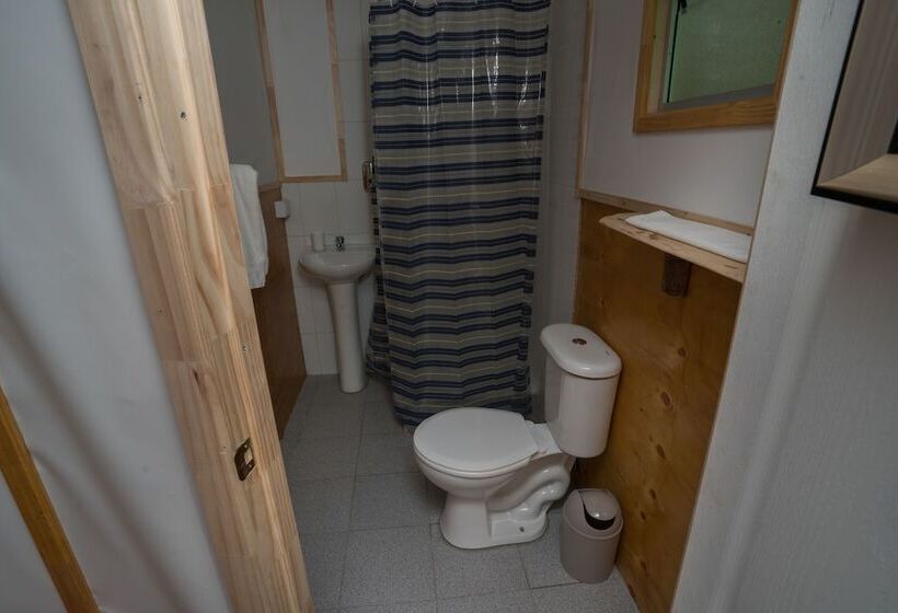 Отель Cabanas Ensenada Bosque Nativo