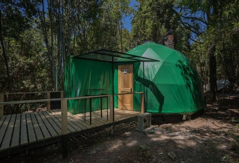 Отель Cabanas Ensenada Bosque Nativo
