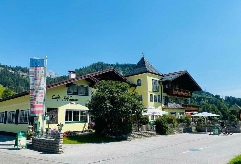 Отель Cafe' Hermann