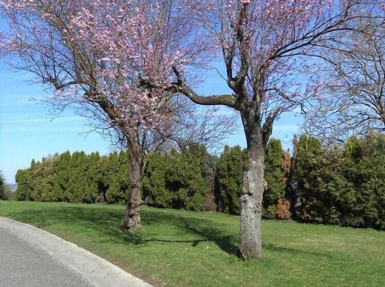 בית מלון כפרי Castel Sainte Marie