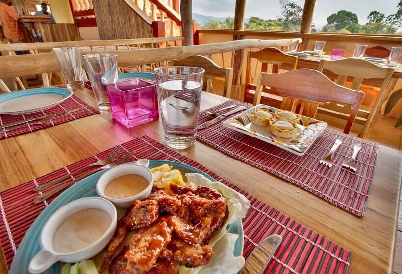 فندق Davis Falls Inn