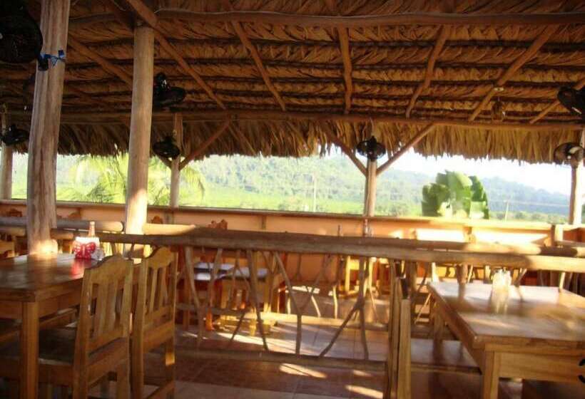 فندق Davis Falls Inn